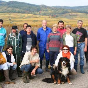 Des vignes et des hommes